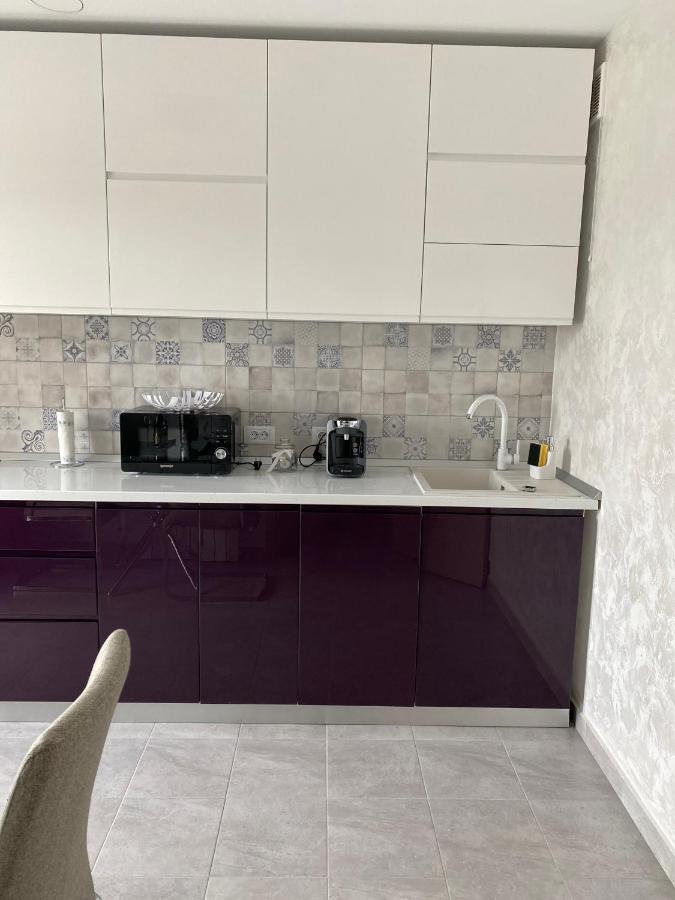Dina Lux Iasi Apartment Εξωτερικό φωτογραφία