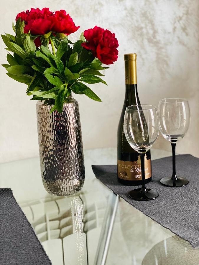Dina Lux Iasi Apartment Εξωτερικό φωτογραφία